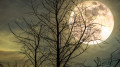 The last supermoon of the year: when to see the cold moon