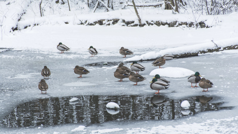 ©️ Depositphotos.com