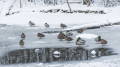 Arctic cold approaches Kazakhstan