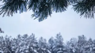 Weather forecast for Thursday: frost down to –25 and snowfall to hit Kazakhstan