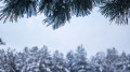 Weather forecast for Thursday: frost down to –25 and snowfall to hit Kazakhstan