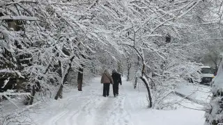 Half of Almaty’s monthly December snowfall fell overnight
