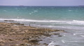 Caspian issue requires urgent action, Tokayev says
