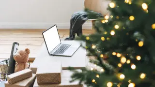 New Year trees with a catch: police warn Kazakhstanis