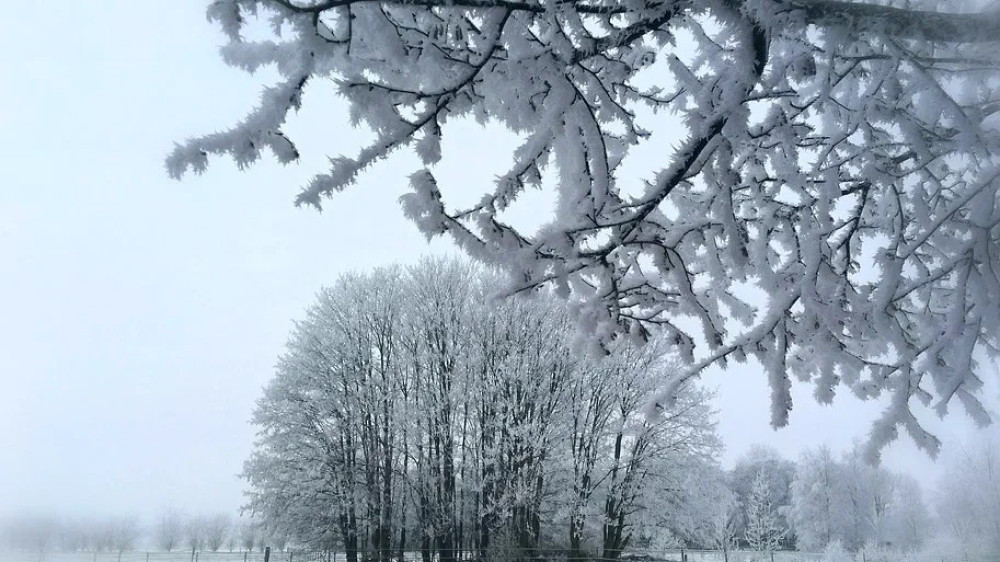 Fog and blizzards: weather in Kazakhstan for December 24