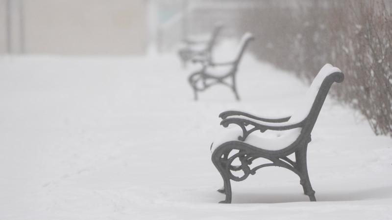 Photo ©️ Tengrinews.kz / Marzhan Kuandykova