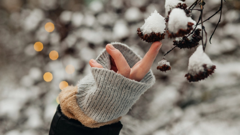 © Depositphotos.com