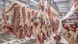 Beef export restrictions: Agriculture Ministry explains the reasons
