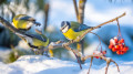 Frosts ease in Astana, temperatures to rise further in Almaty