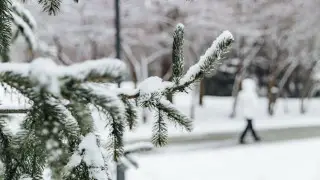 Sharp cold snap: after Astana, Almaty will also freeze