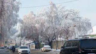 Frost to grip Astana again as heavy snow hits Almaty