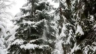 Frost, rain, and snow: Kazakhstan’s weather on January 21