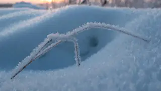 Astana to be buried in snow, Almaty to face heavy snowfall: three-day weather forecast