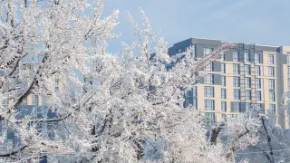 Kazakhstanis to get 8 days off in February 2026