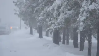 Kazakhstan to be buried under snow: weekend weather forecast