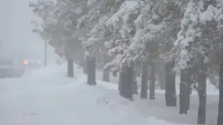 Frost, ice and fog: what will the weather be like in Kazakhstan on 27 January