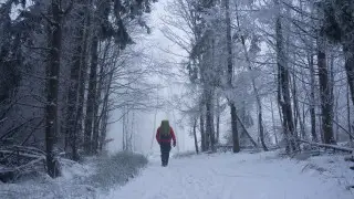 Fog to blanket Astana and Almaty: 3-day forecast