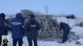 Illegal saxaul logging in nature reserve: criminal group uncovered in Kazakhstan