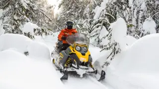 Migrants transported by snowmobiles: Interior Ministry conducts large-scale special operation