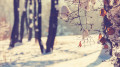 Frosts and snow: weather forecast for Kazakhstan for January 29