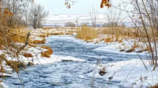 “Up to +13°C“: Warm spell to reach Kazakhstan as snowstorms continue