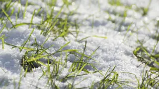 Up to +10°C: Astana and Almaty are in for warmer weather