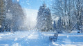 What the weather will be like in Kazakhstan on 4 February: weather forecast