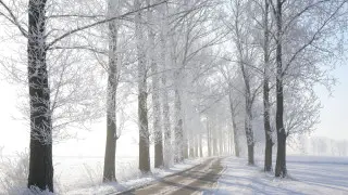 Fog to give way to rain and snow: weather in Kazakhstan for February 10