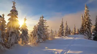 Astana’s deep freeze eases as Almaty stays under snow: 3-day forecast