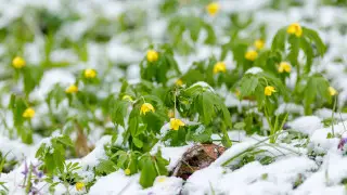 Warm weather up to 20°C is coming to Kazakhstan