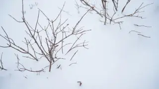 Precipitation, blizzards and ice: weather in Kazakhstan for February 17