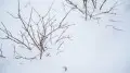 Precipitation, blizzards and ice: weather in Kazakhstan for February 17