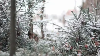 What the weather will be like in Kazakhstan on 19 February: weather forecast