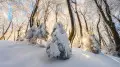 Arctic cold with temperatures down to -40°C heading to Kazakhstan