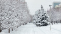 Astana to freeze to -31°C while Almaty faces heavy snowfall