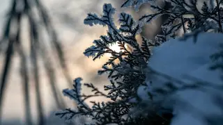 Frosts and rain: weather forecast for Wednesday in Kazakhstan