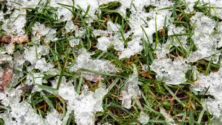 Severe cold temperatures will reach southern Kazakhstan