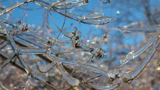 Cold snap in Astana and freezing rain in Almaty: 3-day forecast