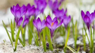 Long-awaited warm weather to return to Kazakhstan