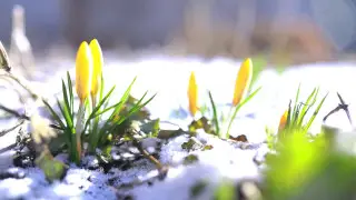 What the weather will be like in Kazakhstan on 3 March: weather forecast