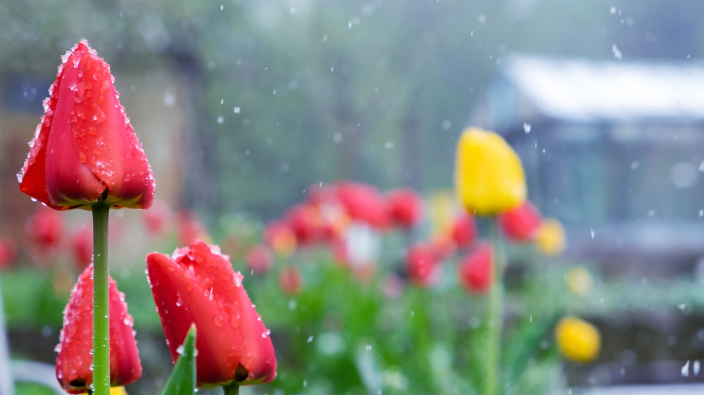 What the weather will be like on March 4, 5 and 6 in Astana and Almaty