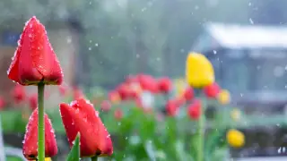 What the weather will be like on March 4, 5 and 6 in Astana and Almaty