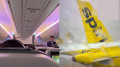 Two planes collided before takeoff