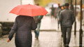 Rain, snow, fog: what the weather will be like in Kazakhstan on 6 March