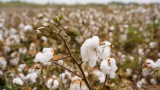 Warm and dry: what the weather will be like in Kazakhstan on March 16