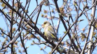 Kazakhstan to warm up to +20 degrees