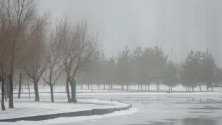 Fog and +16: what the weather will be like on March 18, 19, and 20 in Astana and Almaty