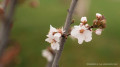 Comfortable spring weather in Kazakhstan: forecast for March 19