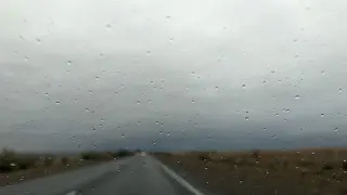 Fog and strong winds: Storm warnings issued in 17 regions