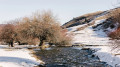 Rivers may rise in northern Kazakhstan due to a sharp warm-up, Kazhydromet says